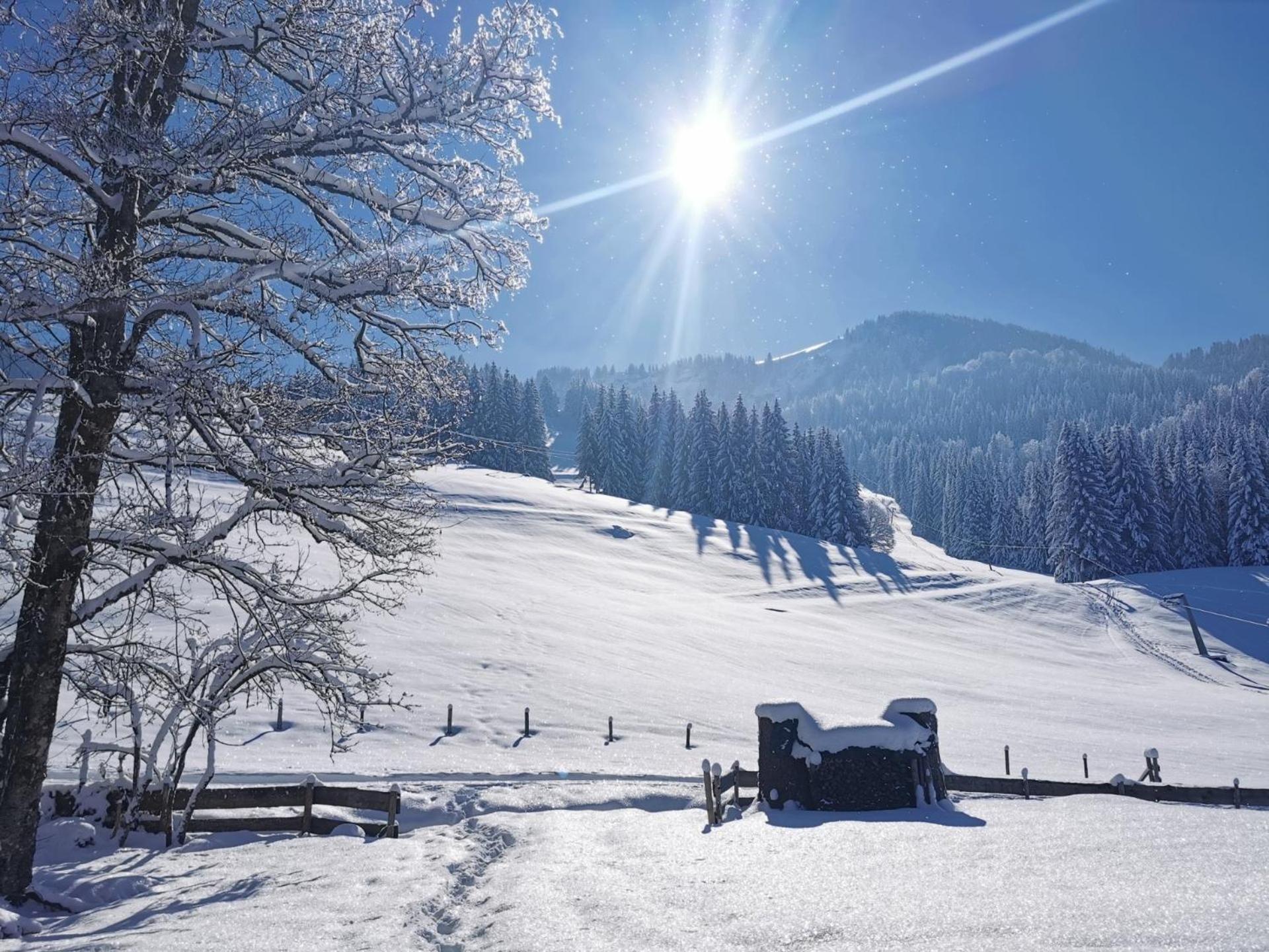 Konstanzer Bergblick Mit Wintergarten Oberstaufen Extérieur photo